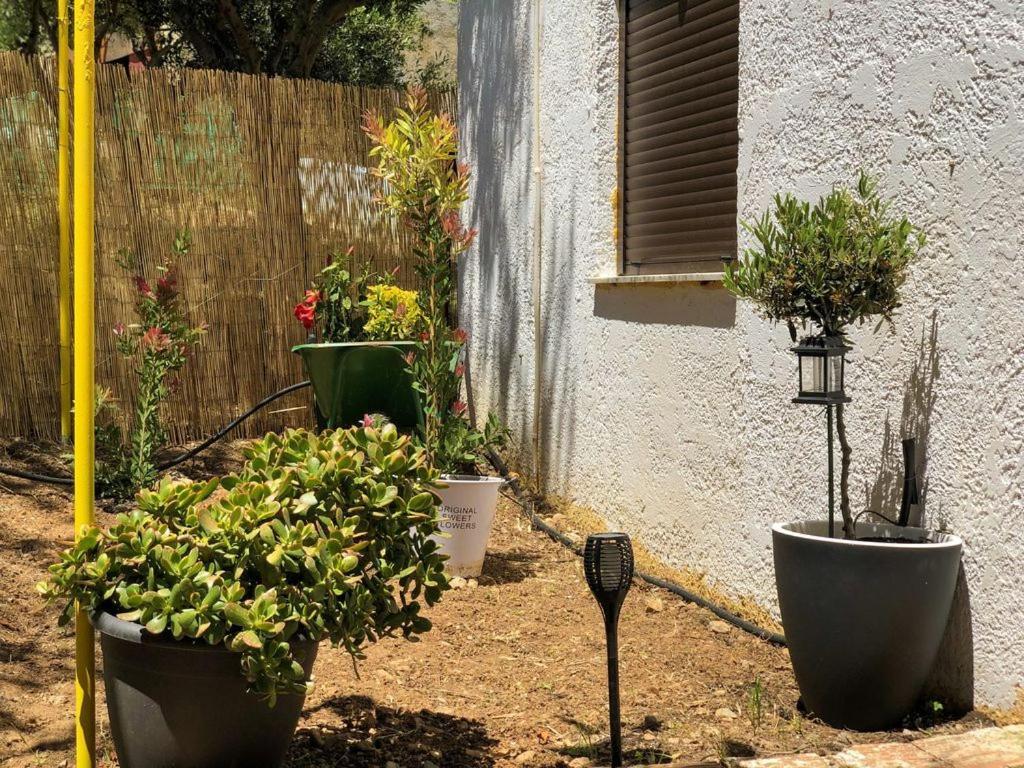 Afrodites Residence Triopetra Eksteriør bilde